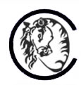 Logo der cheyenne-IT consulting * Britta Wellmann