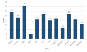 Grafik Meldung von Datenschutzverstößen 2025